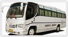 Luxury Coach